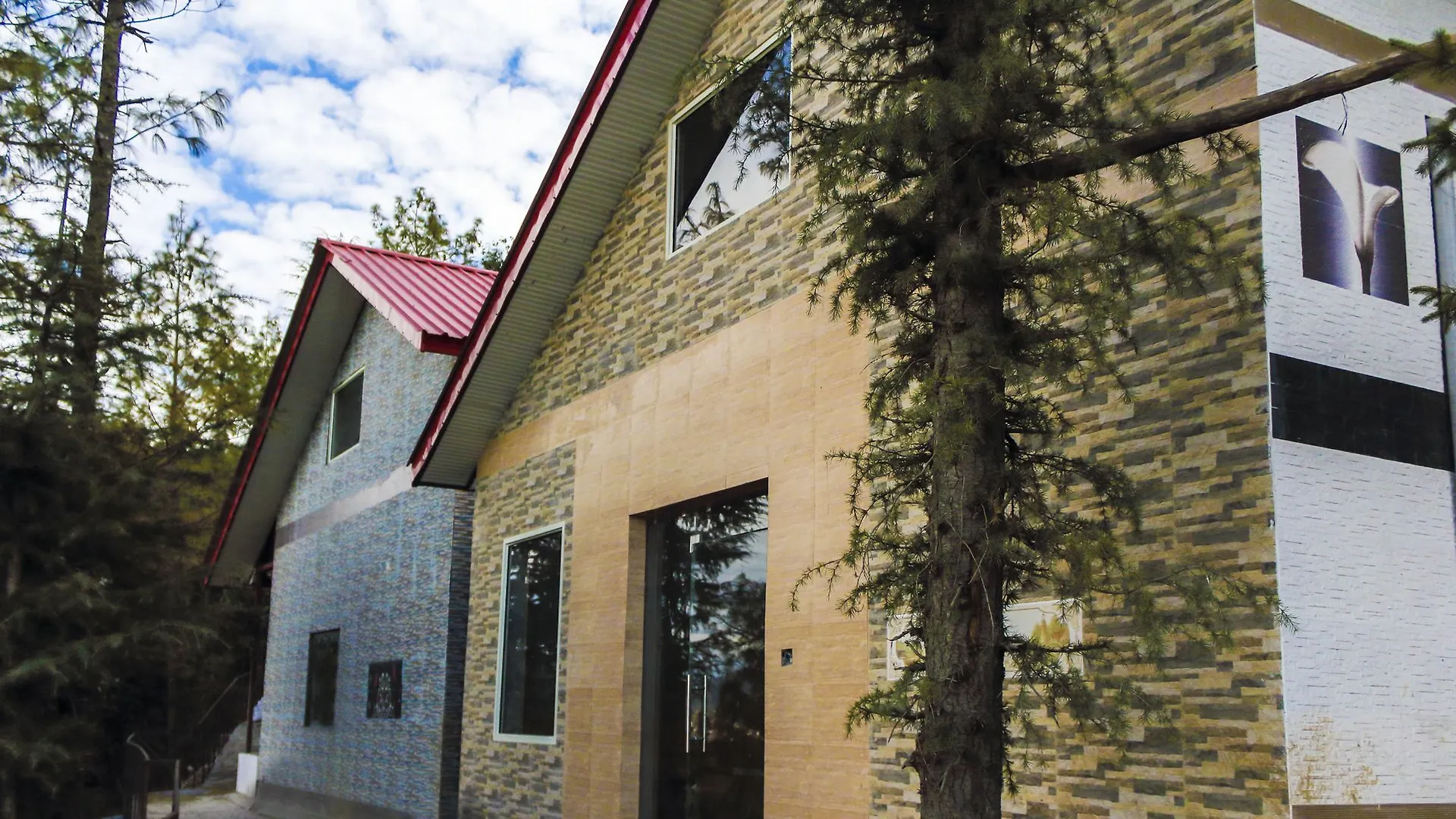 Citrus Hotel Shimla